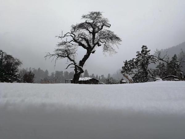 怒江州两县(市)政协委员:加强农文旅融合 加快医疗保障立法