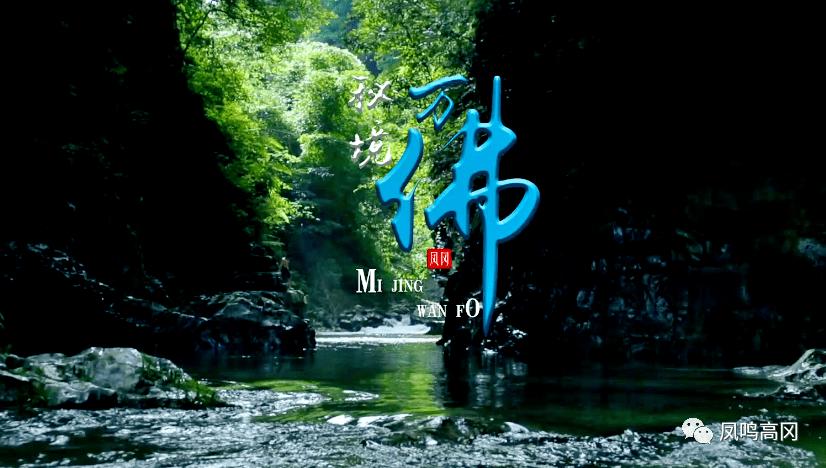 便捷有趣的《扫黑风暴》中,审讯室的内鬼是谁?问答网站,轻松解答您的疑问