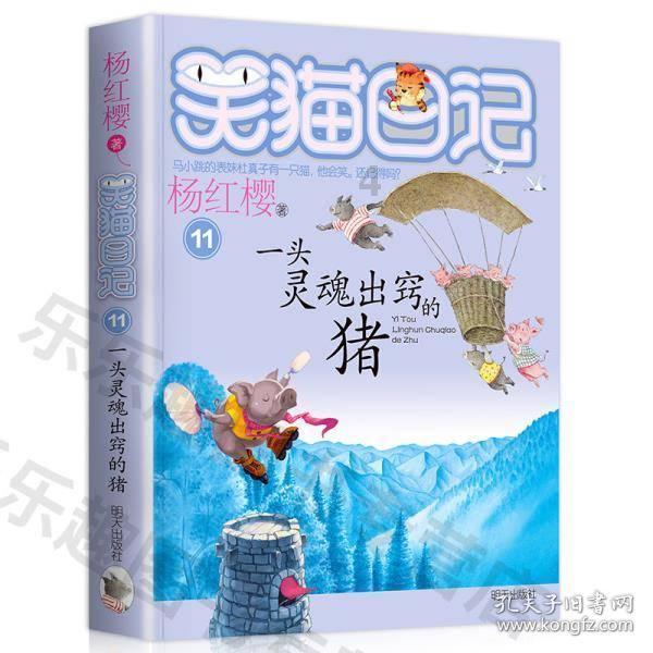 迈胜官宣牵手马拉松冠军吴向东——路跑精英与专业品牌的“双向奔赴”