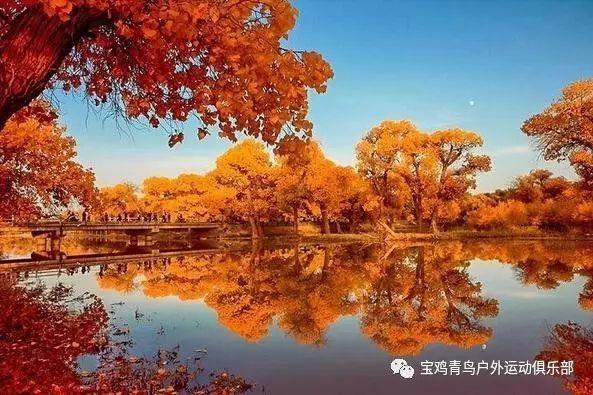 单项奖金最高10万元!2024“潮起三月三”创意设计大赛等你来