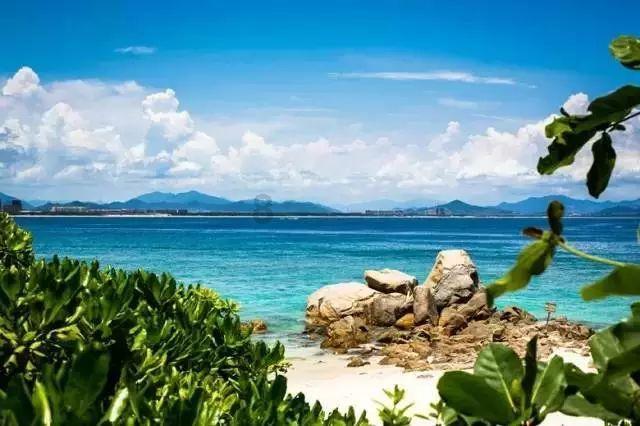 “谢谢热心的重庆人！”广州旅客不慎丢失电脑，幸好遇到耿直公交司机……