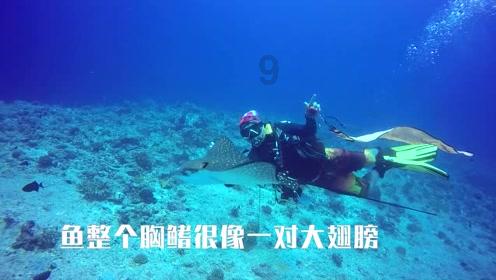 美信科技(301577.SZ)磁性元器件可以应用在无人驾驶和飞行汽车等新兴领域