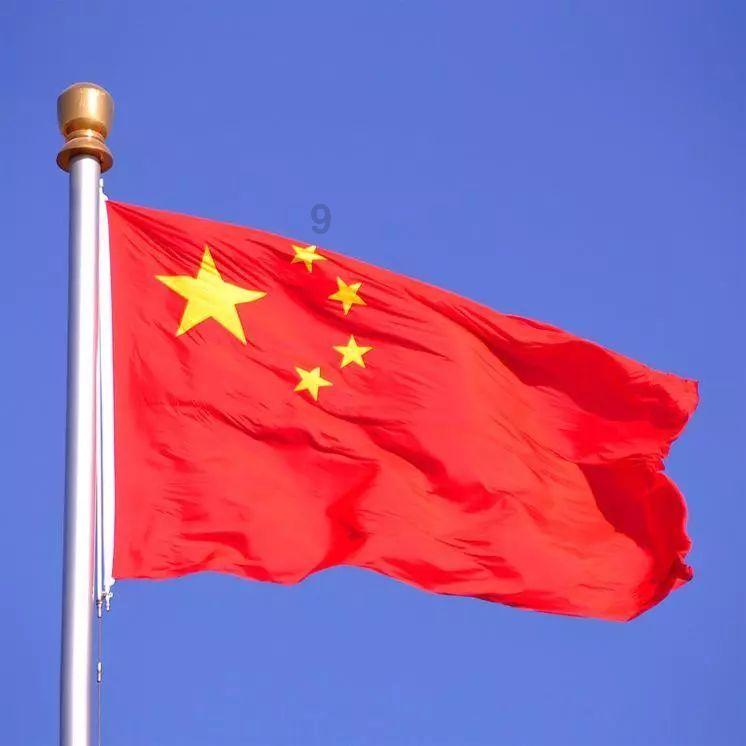 动物帮帮忙保卫家园